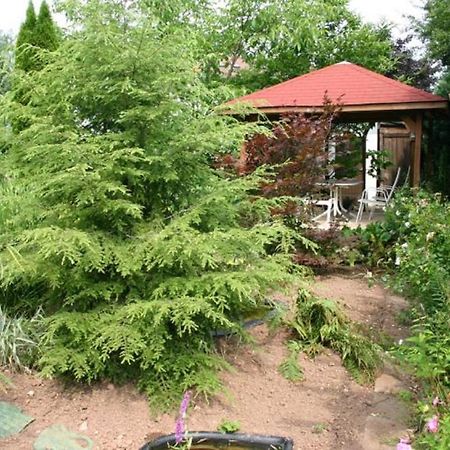 Pension Haus Zum Schlehenberg Bayreuth Ngoại thất bức ảnh
